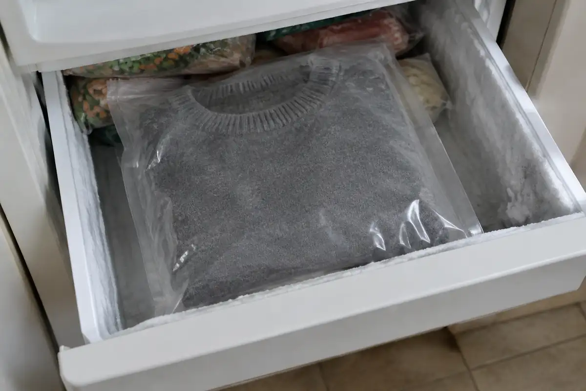 Pull en laine plié à plat dans un sac plastique fermé, posé dans un tiroir de congélateur